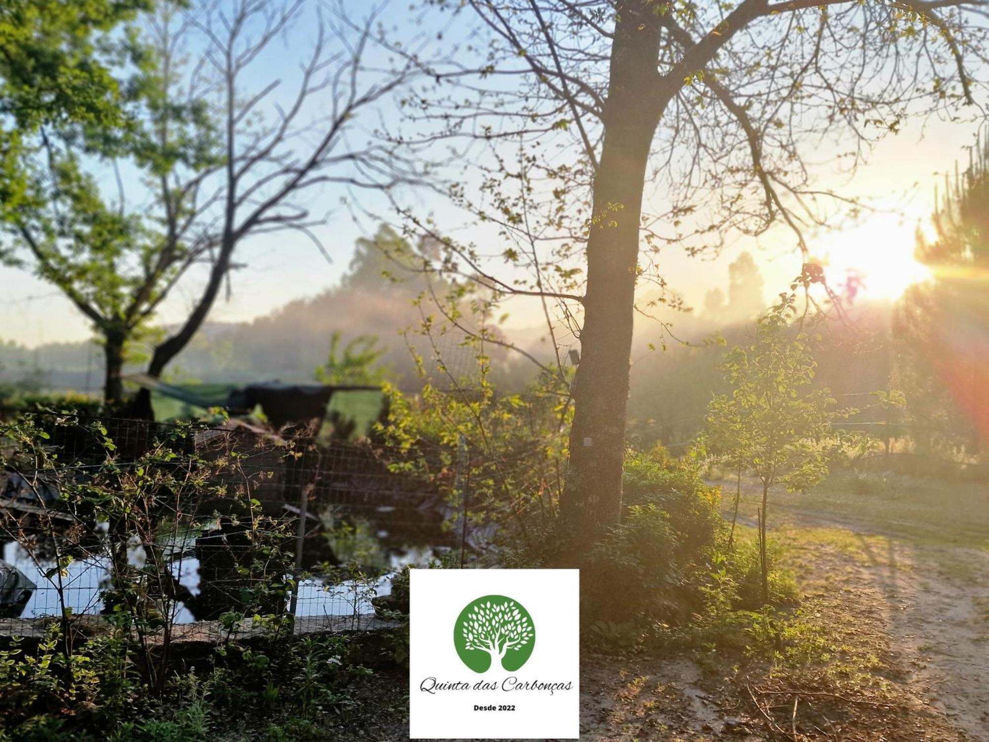 Quinta Das Carboncas Фафи Экстерьер фото