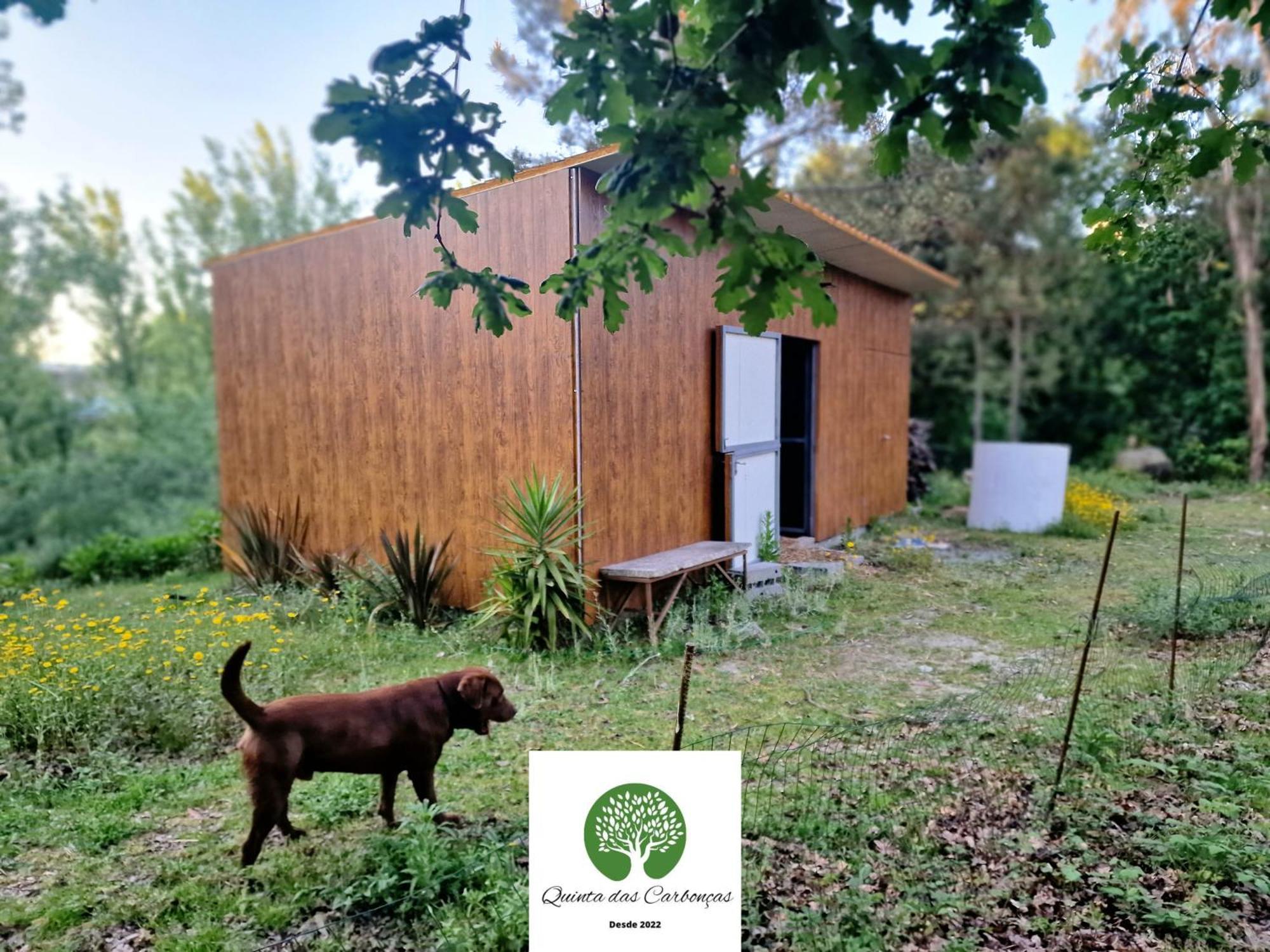 Quinta Das Carboncas Фафи Экстерьер фото