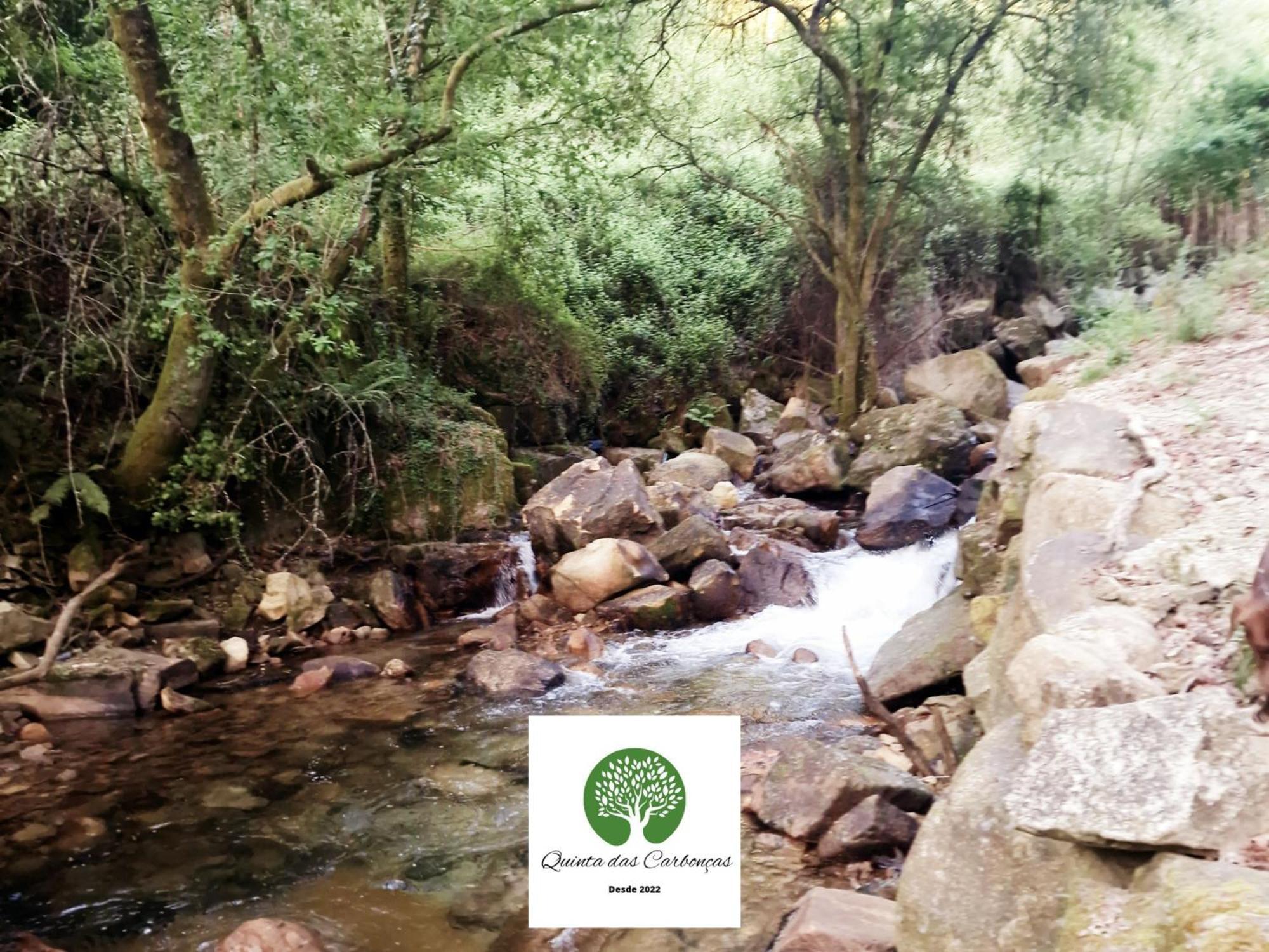 Quinta Das Carboncas Фафи Экстерьер фото