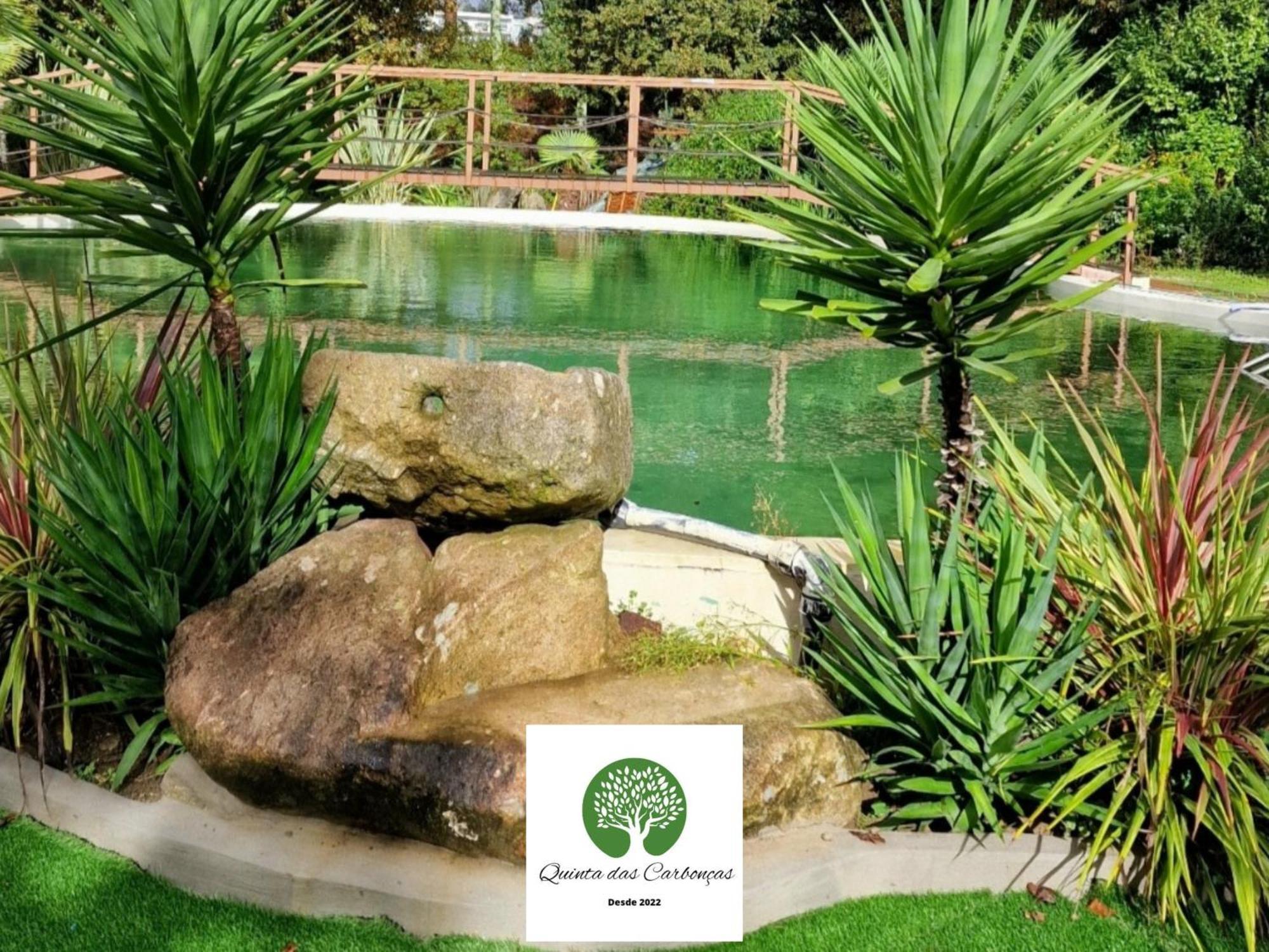 Quinta Das Carboncas Фафи Экстерьер фото