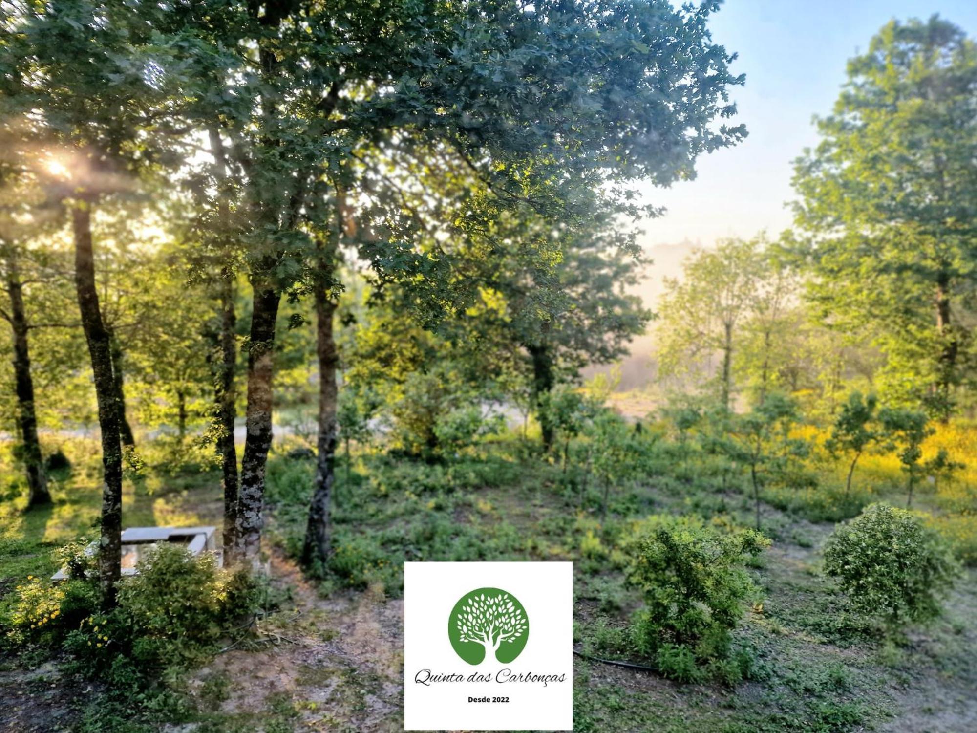 Quinta Das Carboncas Фафи Экстерьер фото