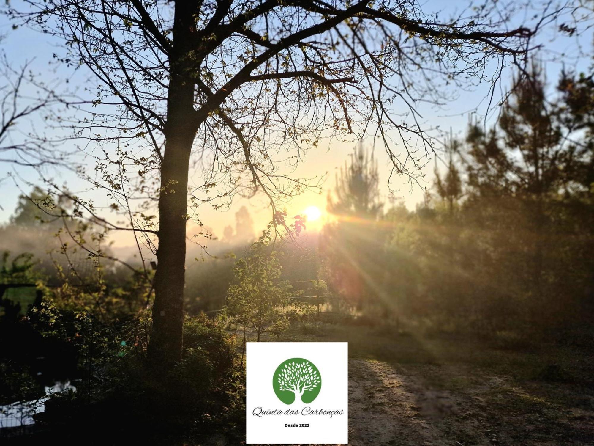 Quinta Das Carboncas Фафи Экстерьер фото