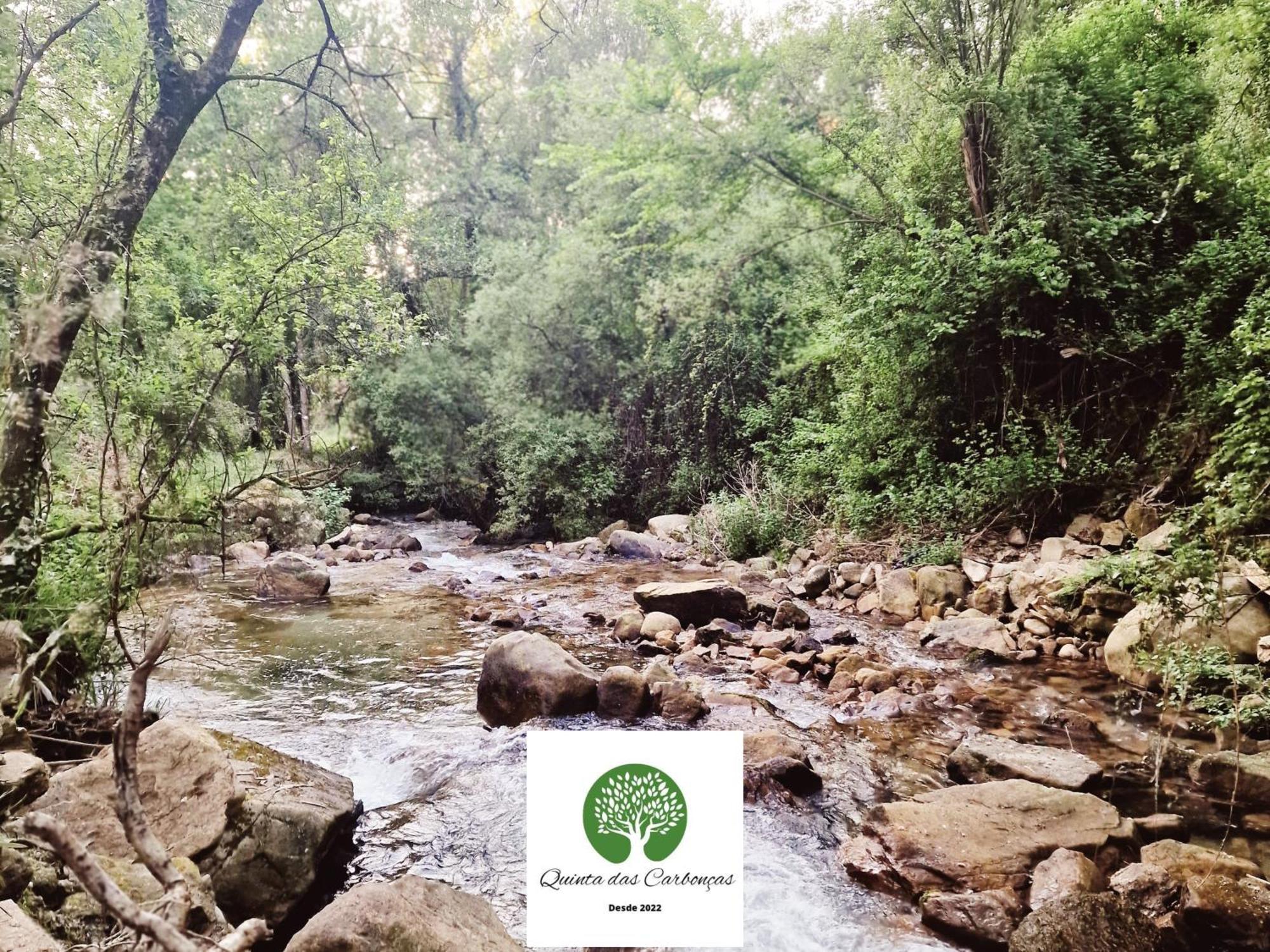 Quinta Das Carboncas Фафи Экстерьер фото