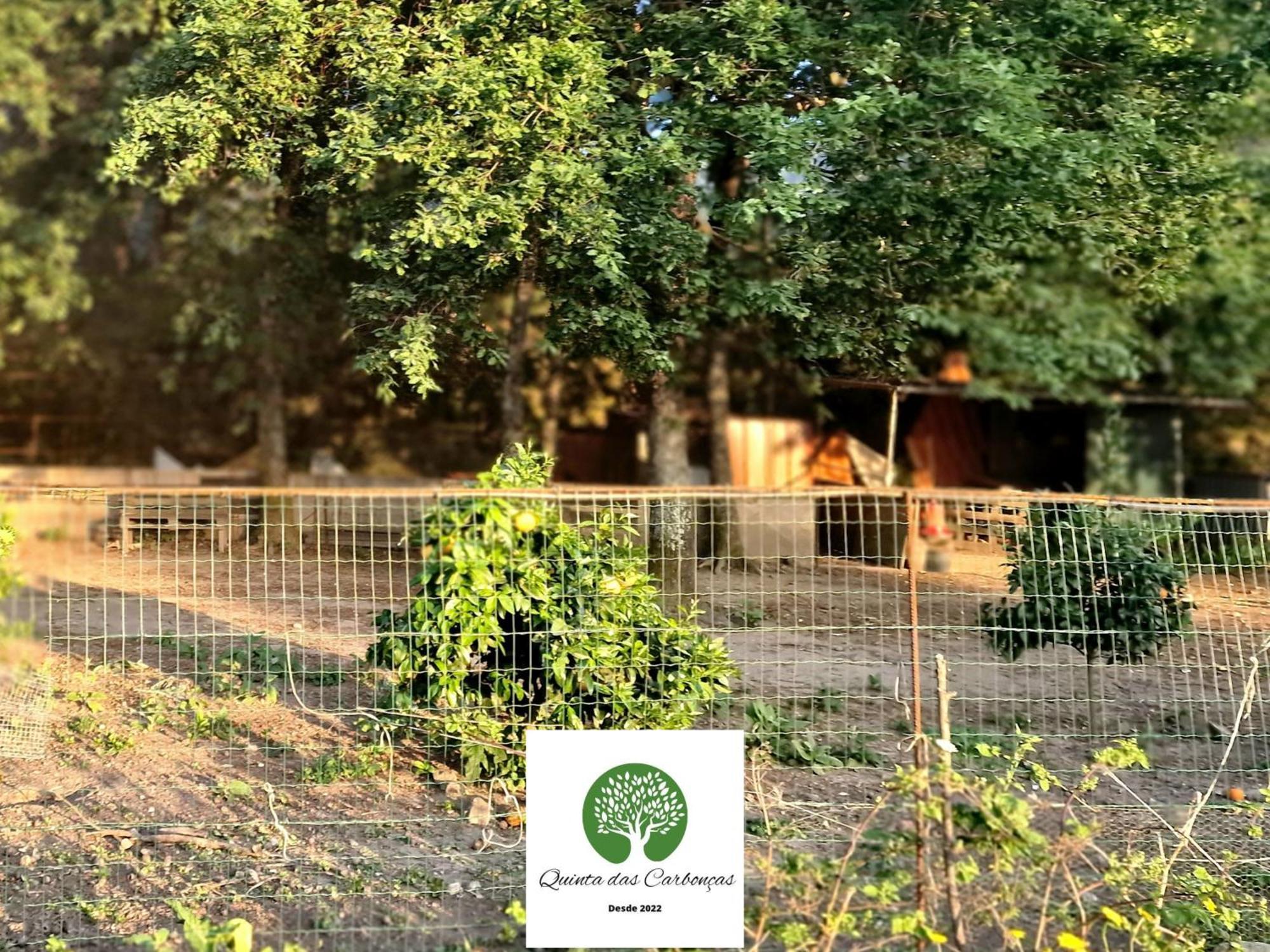 Quinta Das Carboncas Фафи Экстерьер фото