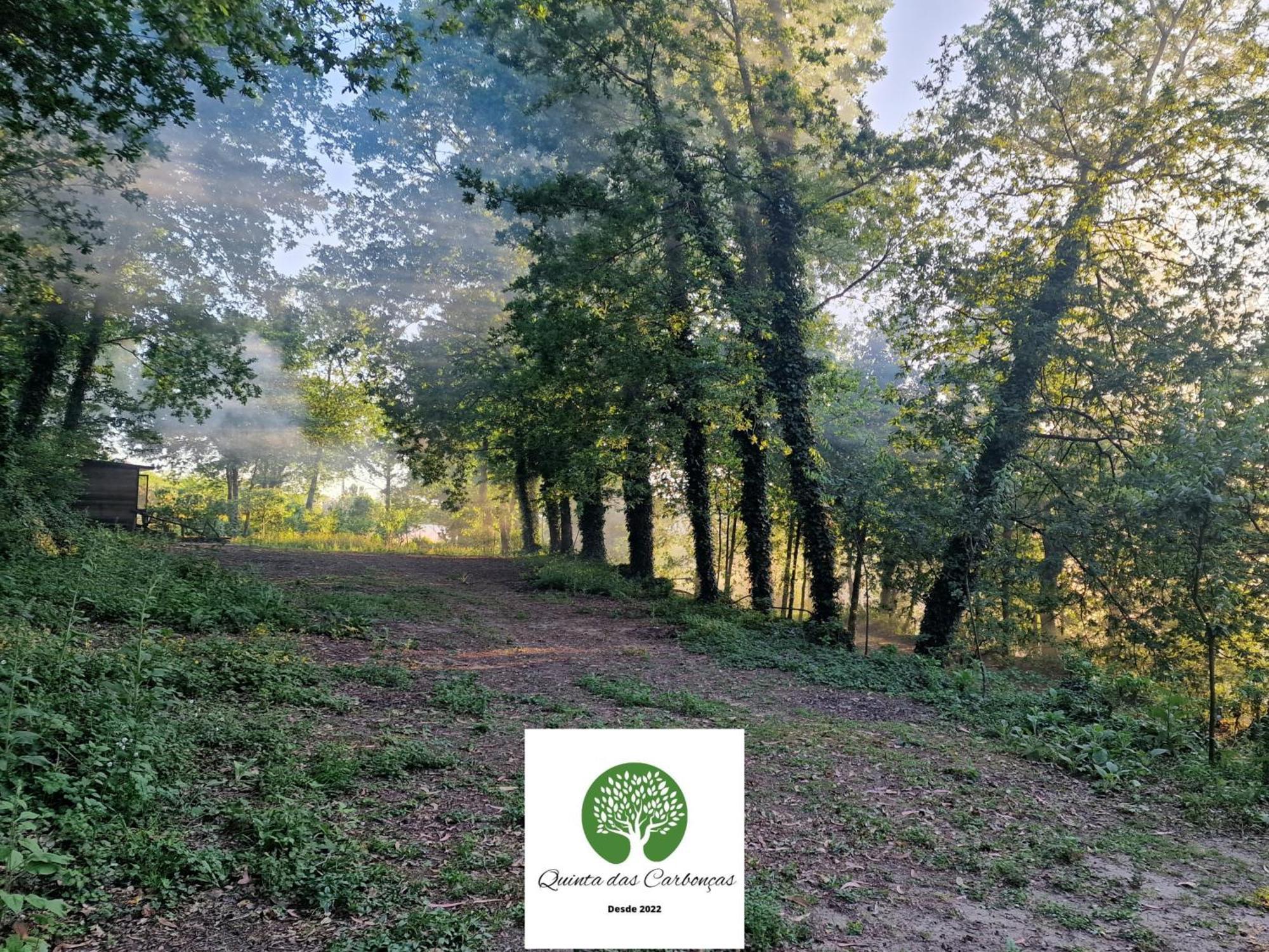 Quinta Das Carboncas Фафи Экстерьер фото